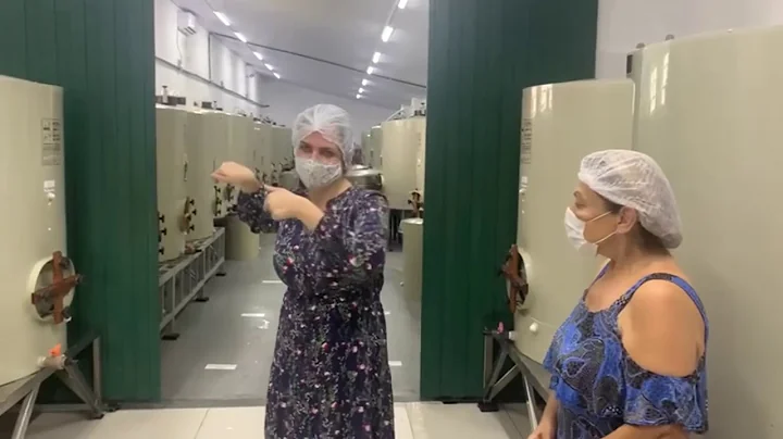 Documentrio - Adega Famlia Ferragut