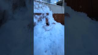 Quem Pegou A Minha Bolha De Sabão?