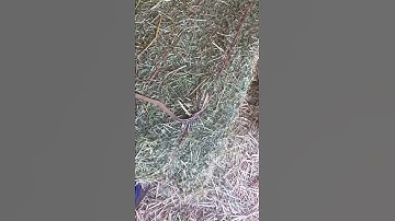 How to open a hay bale with a hay hook