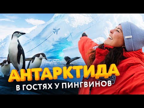 Видео: Круиз по Антарктиде: посещение острова слонов на зодиаках