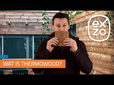 Video: Wat is verkoold hout?