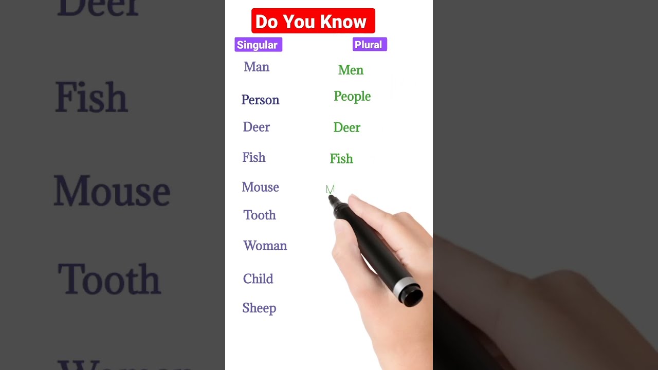 Singular And Plural Number In English Grammar 