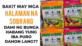 Alamin Paano Ang Pagspray ng Growmore 20-5-30 & Growmore 4-0-48.. At Pano ang timing sa pagspray..