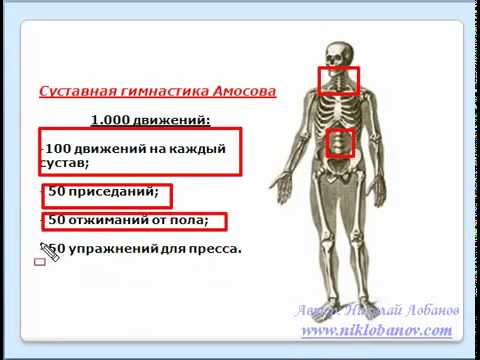 Значение двигательной активности