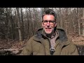 Naturschutz mit wenig Geld: Wassermanagement im Wald | BR24