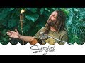 Paul Izak - Peaceful Words (Live Music) | Sugarshack Sessions