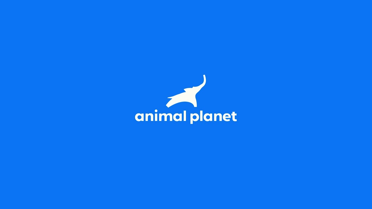 Animal Planet On Demand #2