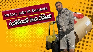 රුමේනියාවේ මගේ රැකියාව 💰  |  factory jobs in Romania  #romania #srilanka