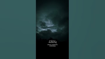 سورة التوبة..محمد صدیق المنشاوی #راحة_نفسية #اكسبلور #لايك #المصحف #فولو #duet #الصلاه #حالات_واتس