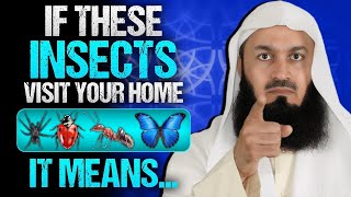 When Insects Visit Your House, Don't Ignore These 6 Warnings fromAllah | Mufti Menk