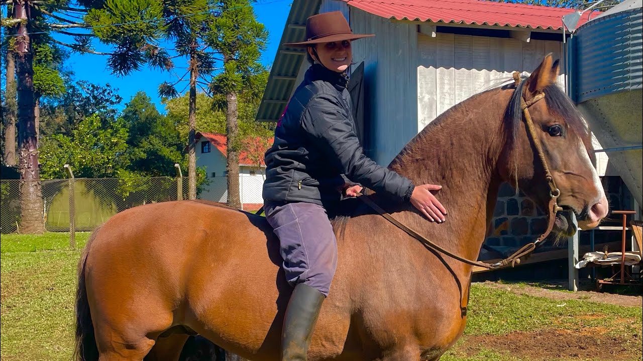 Tiramos o Garanhão da Manada