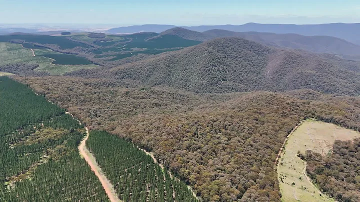 Open2view AU - ID# 987955 - 321 Log Bridge Creek Road