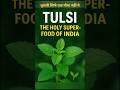 Tulsi – The Holy Superfood of India 🌿✨