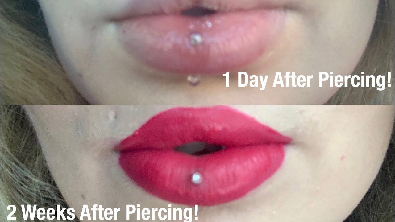 Vertical Labret Piercing - Swelling, Pain, Healing Time | You Need To Know! - YouTube