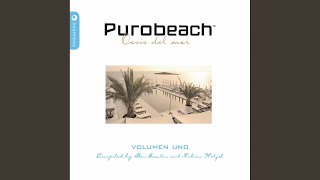 Purobeach Vol 1 digital Version continuous Dj Mix