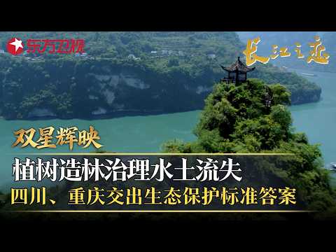 双星辉映｜成都和重庆是新时代长江流域的一部“双城记” ，他们植树造林治理水土流失，交出生态保护标准答案！#长江之恋