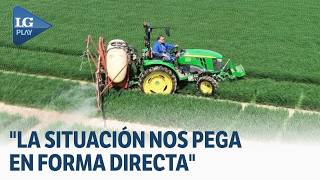 How does the increase in fertilizer prices impact the sugar sector?