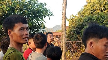 Hmo peb caug lwm qaib nawb