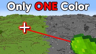 Only Using ONE COLOR in Minecraft!