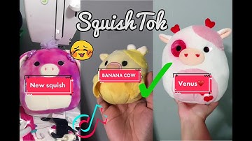 Best Of Custom Squishmallows for the crafty hunting squishtoks and tik toks
