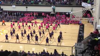 Stellar showcase 2015
