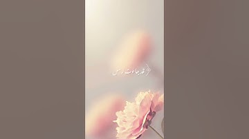 الذين اتخذوا دينهم #قران_كريم #القارئ_أنس_العمادي #اكسبلور #تلاوة_خاشعة #قرآن #طمأنينه #explore