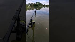 Krásný kapr a skvělá jízda.🤩😎 #edit #fishing #carpfishing #carp