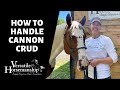 HOW TO HANDLE CANNON CRUD // Versatile Horsemanship