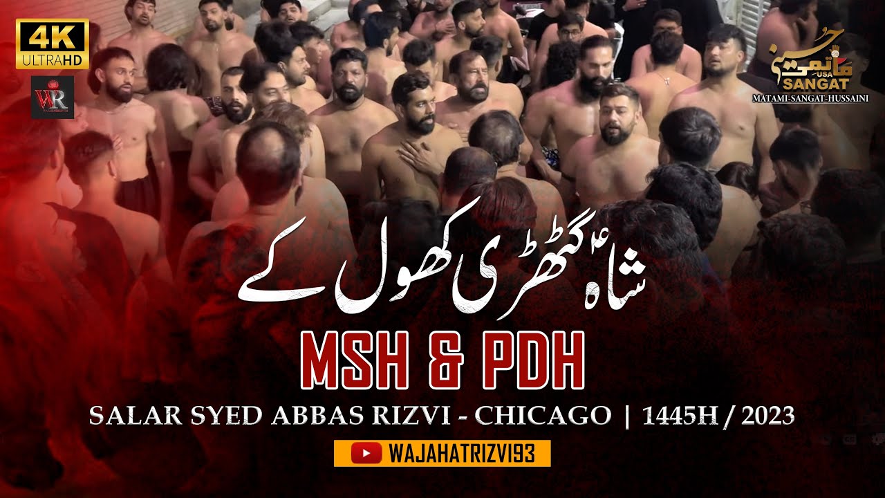 shah-ghatri-khol-kay-msh-pdh-salar-syed-abbas-rizvi-chicago