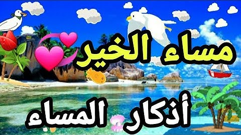 حالات واتس اب مسائية⚘🌸أذكار المساء💞دعاء المساء💚🌱مقاطع دينية قصيرة💮🌿مساء معطر بذكر الرحمن🍂🙏مساء الورد