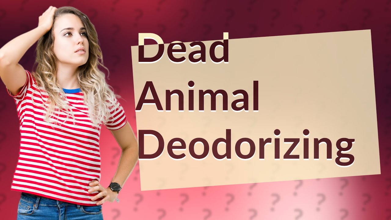 How do you deodorize a dead animal? YouTube