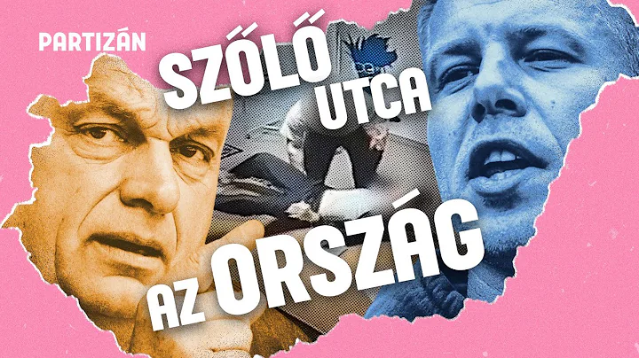 Fel a Karmelitába⎟Tüntetés és mohácsi DPK a Szőlő utca árnyékában