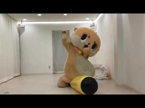 Local Japanese Mascot Viciously Attacks Punching Bag