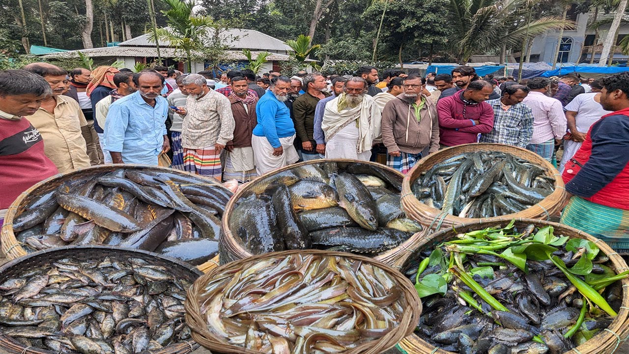 বিলের আসল রত্ন!! এখন না আসলে আফসোস করবেন দেশিও মাছে ঠাসা দুবলি বাজার | dhaka dohar dubli bazar
