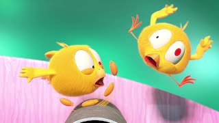 Chicky The Acrobat | Where's Chicky? | Cartoon Collection In English For Kids | New Episodes