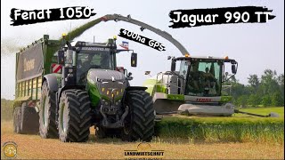 NEW Claas Jaguar 990 von Agrarservice-MV beim Gersten GPS Häckseln 🤩 Highlight Fendt 1050 Abfahrer