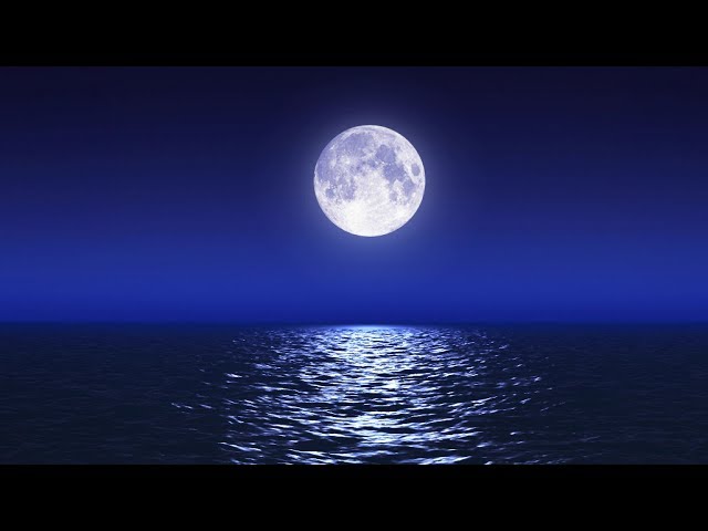 Sleep Music With Ocean and Jungle Sounds – Relaxing Blue Screen Scene – Ocean and Full Moon class=