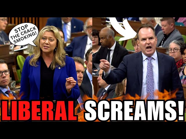 Liberal MP SHOUTS At Conservative MP Gray In The Middle Of Parliament! class=