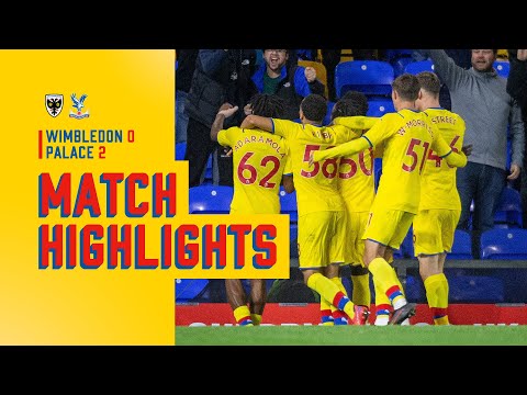 AFC Wimbledon Crystal Palace U21 Goals And Highlights