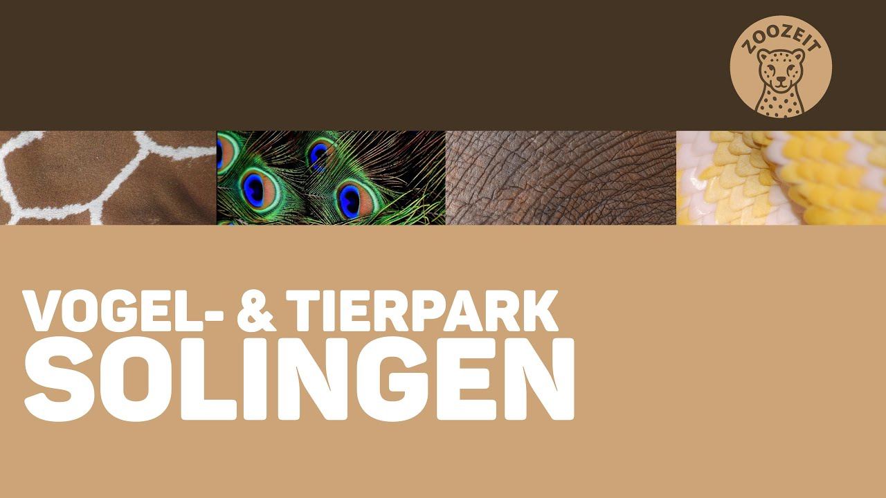 Solinger Solinger Vogel- und Tierpark • Ein weiterer kleiner Tierpark in der ...