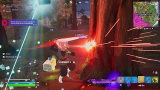 Fortnite_20250510113404