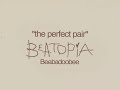 Beabadoobee  the perfect pair lyrics