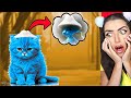 The VERY Sad ORIGIN STORY of Smurf Cat..