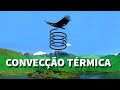 Convecção Térmica (Experiência)