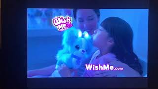 Opening to Wish Me Friends: Shiky The Shy Puppy 2020 DVD