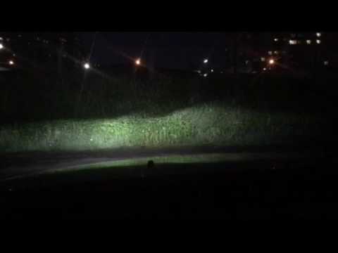 Лампы Polarg h7