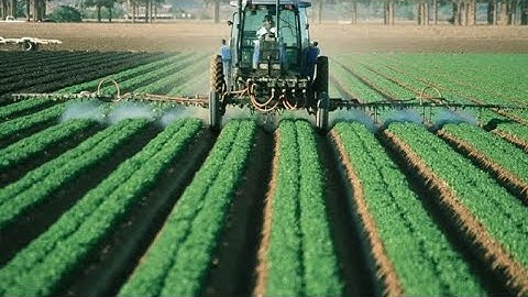 Lesson no 12 Food for all Std 5 EVS1 Part 1