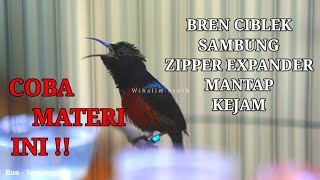 Indonesian hummingbirds beep with melodious variations 😍 LOUD SOUND