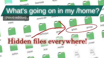 What are all those hidden files in my home directory?