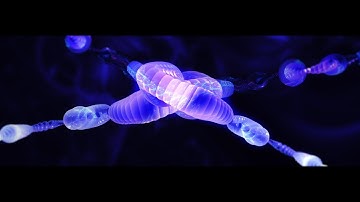 Trapcode Tao Motion Graphics Experiments Day 11